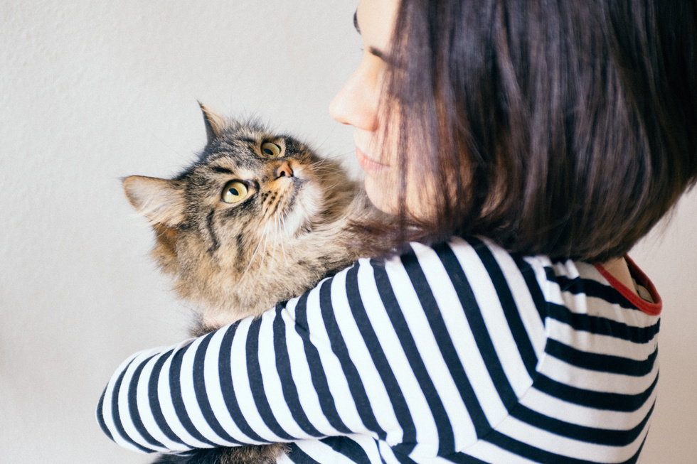 Woman and cat indoor 